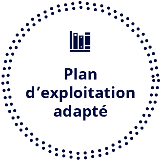 Plan d’exploitation adapté